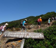 Bocca a Croce / Col de la Croix - Plage de Tuara - Girolata